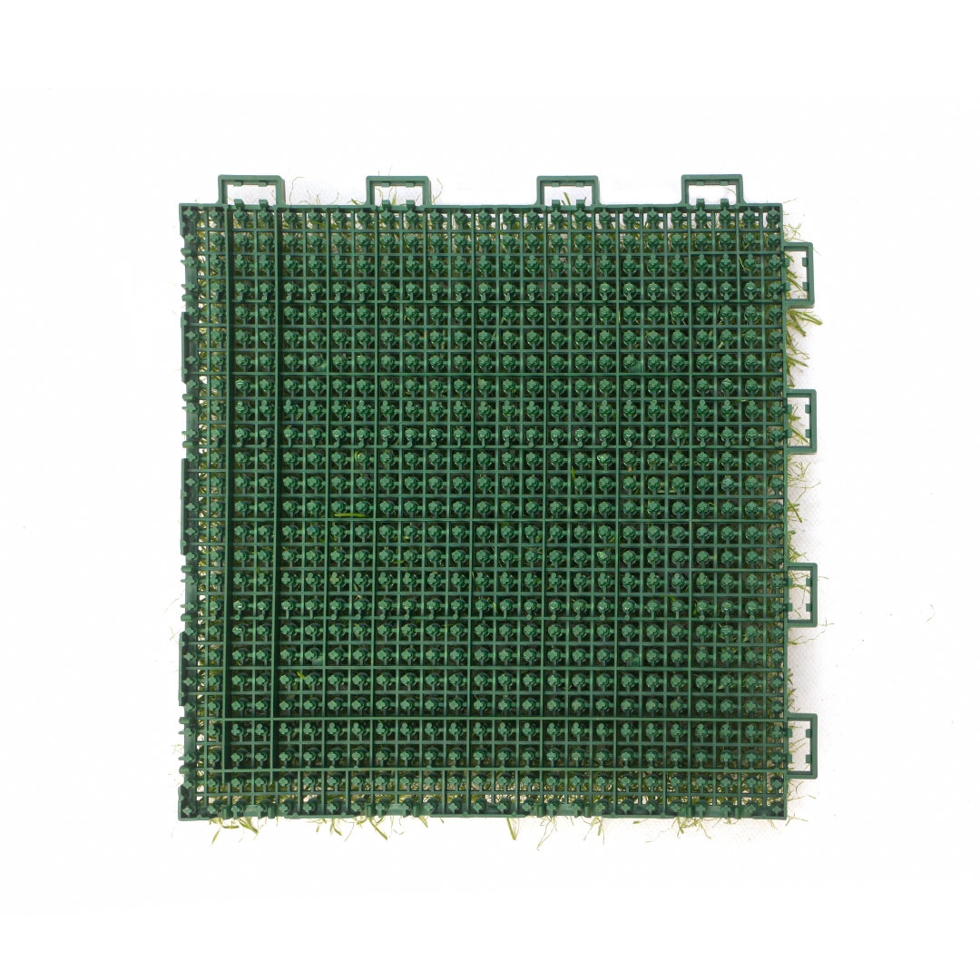 عشب يانغ يانغ المُجمّع TC-Y25150