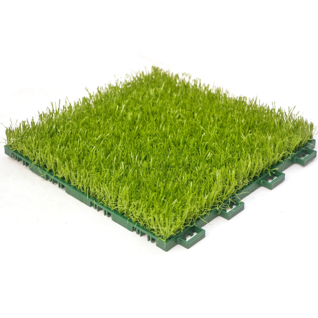 عشب يانغ يانغ المُجمّع TC-Y25150