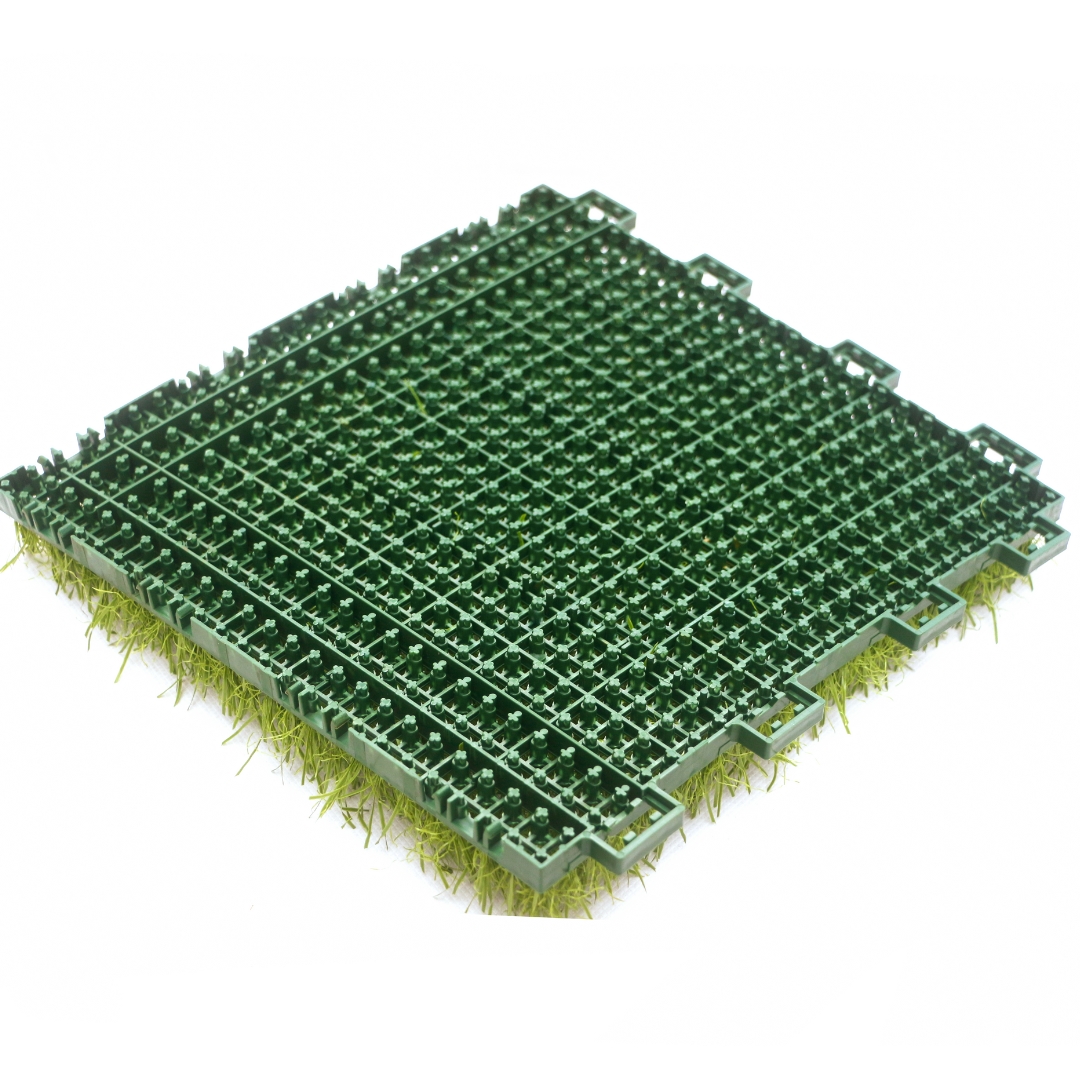 عشب يانغ يانغ المُجمّع TC-Y25150