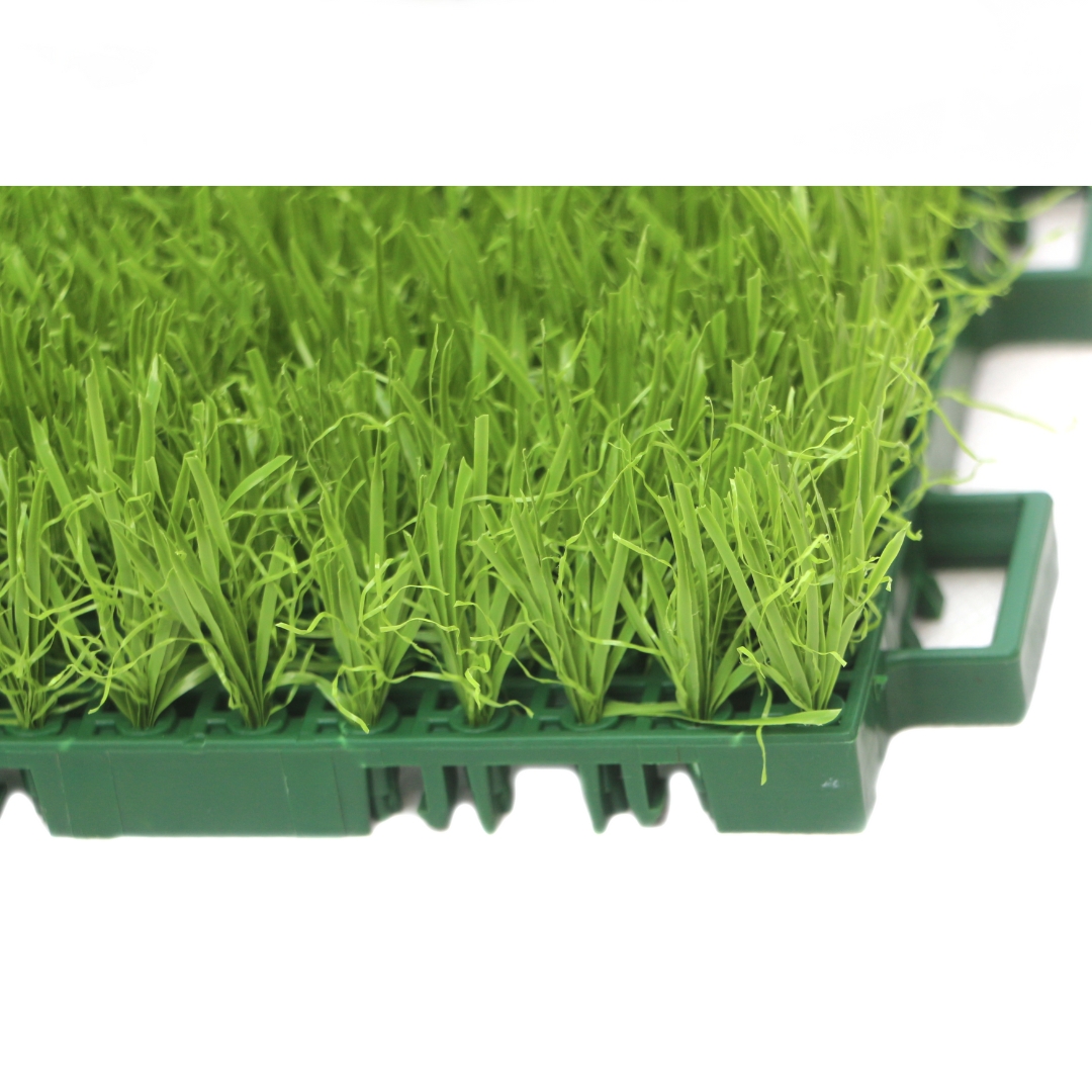 عشب يانغ يانغ المُجمّع TC-Y25150