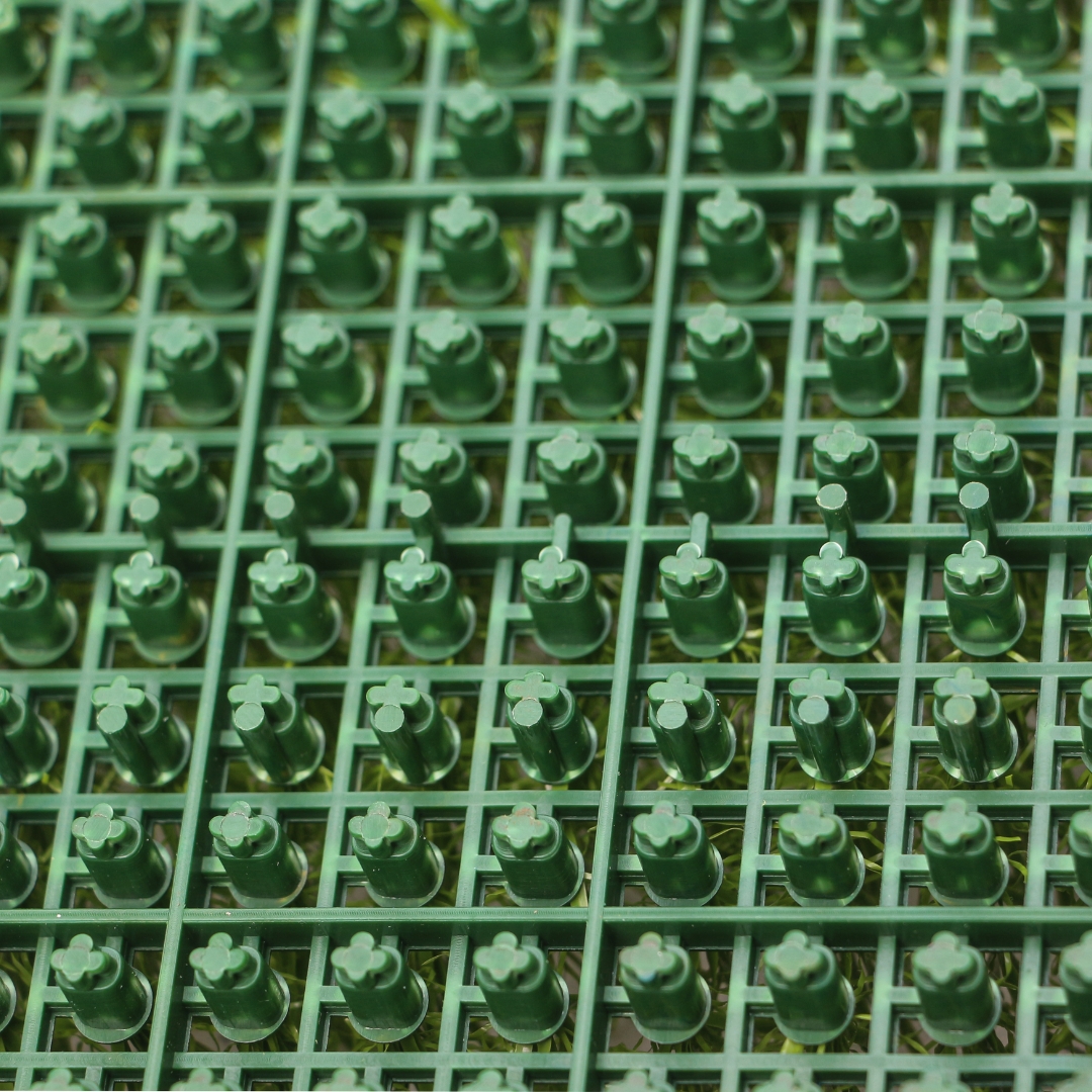 عشب يانغ يانغ المُجمّع TC-Y25150